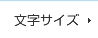 文字サイズ